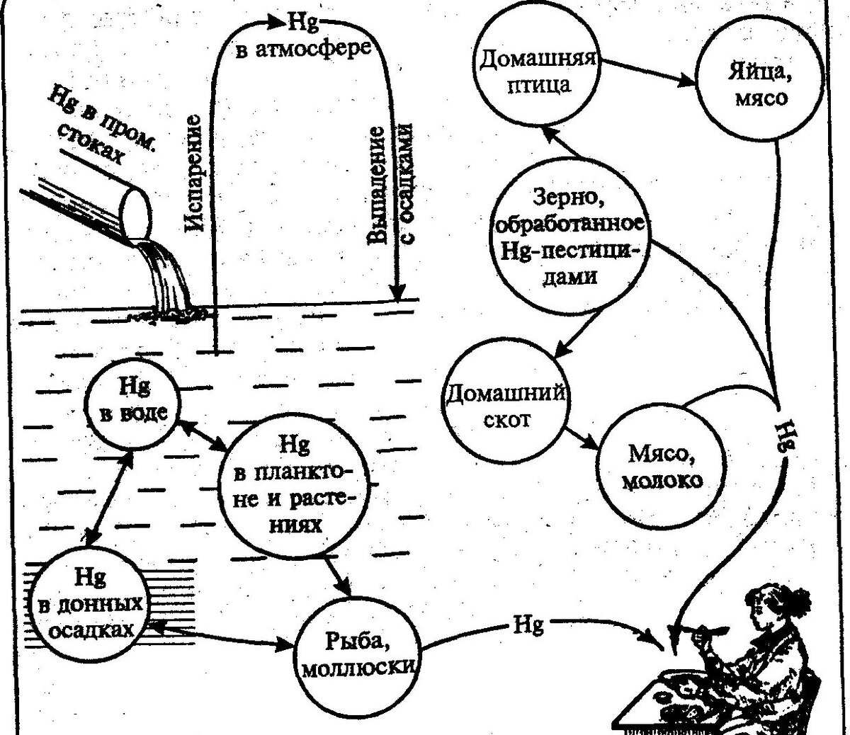 Круговорот ртути. Источник: bygeo.ru
