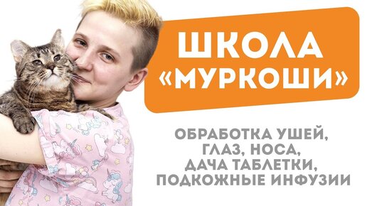 Школа «Муркоши»: Обработка ушей, глаз, носа, дача таблетки, подкожные инфузии