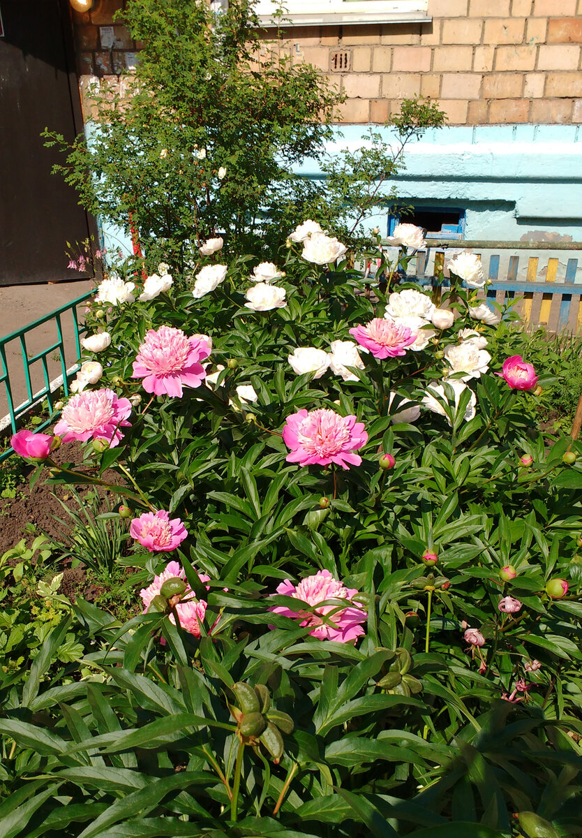 Все фото авторские