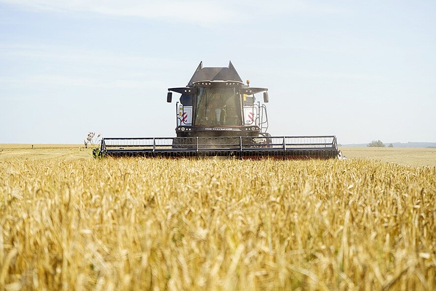 Фото - Дмитрий Рыжаков