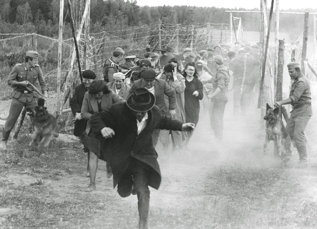 Расстрел евреев в Бабьем Яру, Украина, 1941 