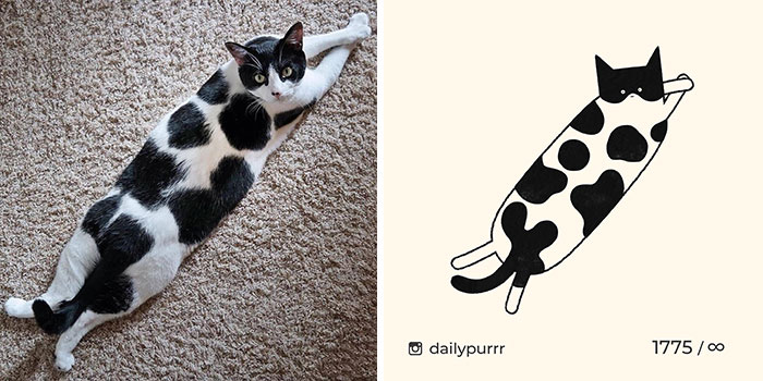 Фото: twitter.com/purrrdaily