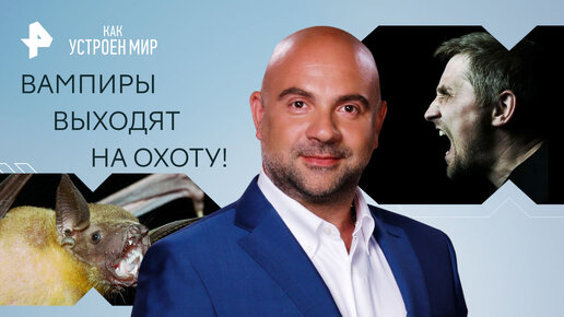 Вампиры выходит на охоту! Откуда у летучих мышей ДНК человека — Как ...