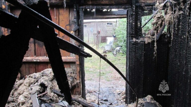    В Оренбуржье пожарный извещатель спас жизни шести человек, в том числе 2 детей Кристина Просвиркина