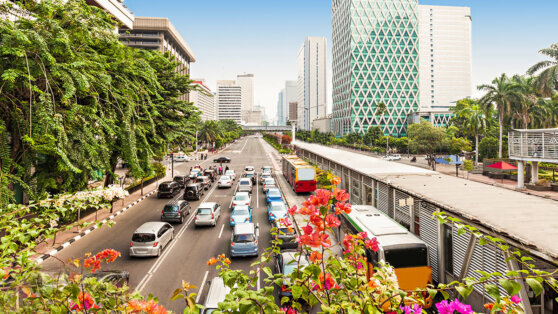    Индонезия обещает вернуть "безвиз" Дмитрий Коптев