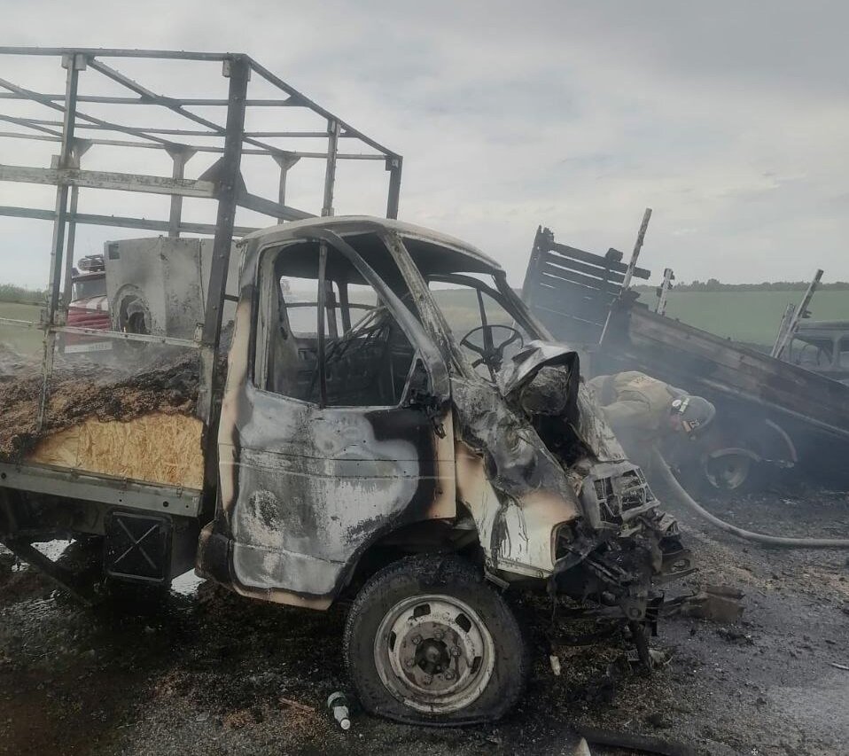 Фото: ГУ МЧС по Алтайскому краю