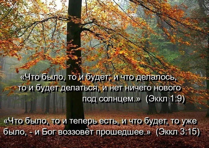 Все суета сует. Экклезиаст