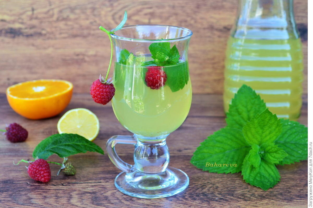   Освежающий мятный напиток с цитрусовыми нотками. Автор фото: Марина Бахарева (MeryKon)