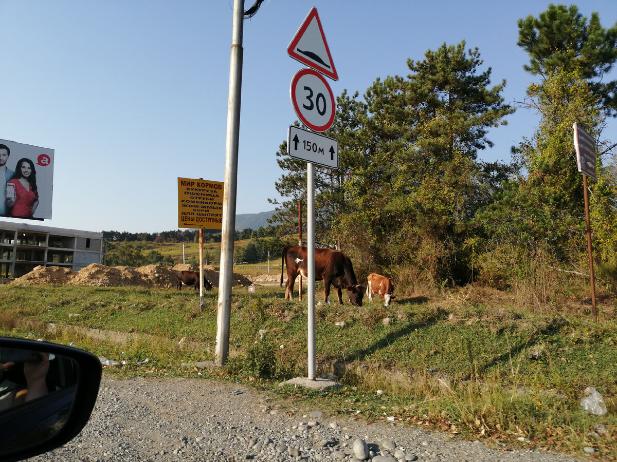 В Абхазии лучше ориентироваться на дорожные знаки, а не на навигатор. Фото Светы Давыдовой