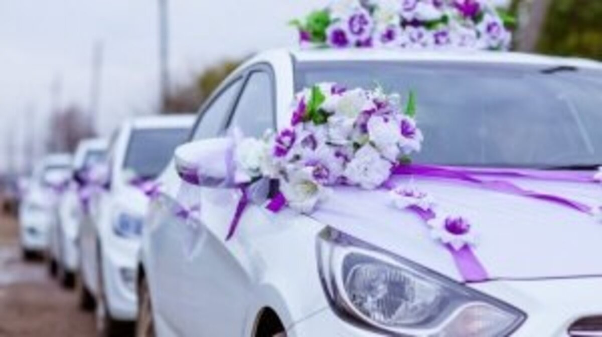 Фото из интернета