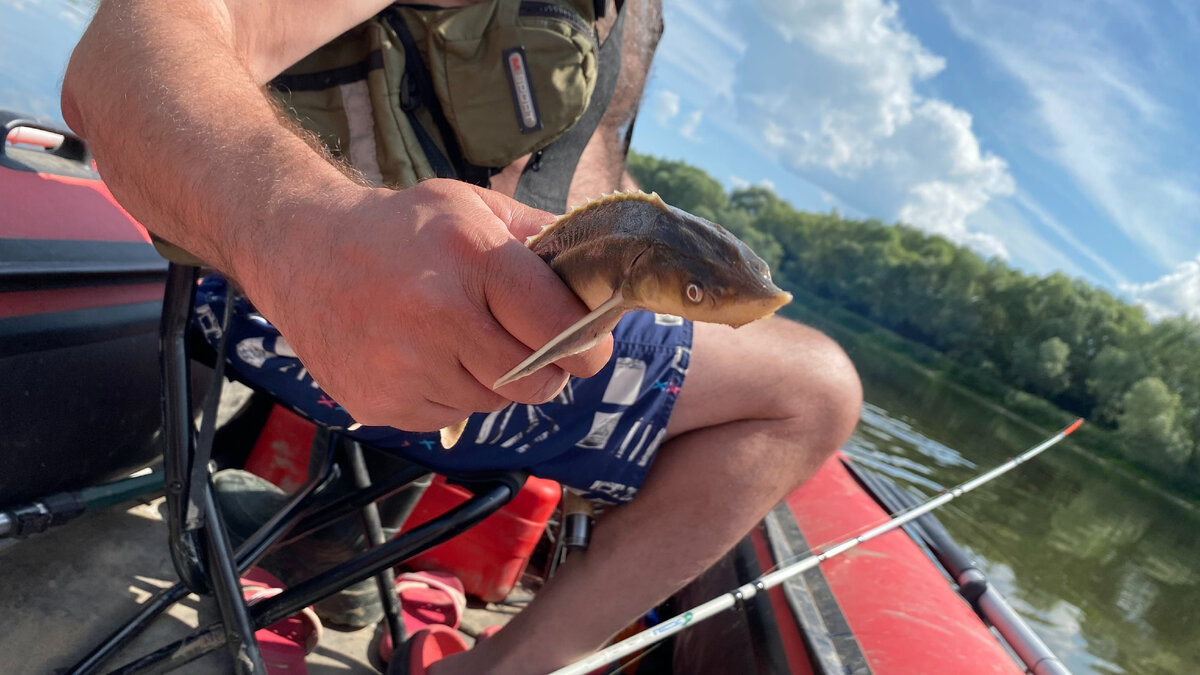 Улов. Фото автора.