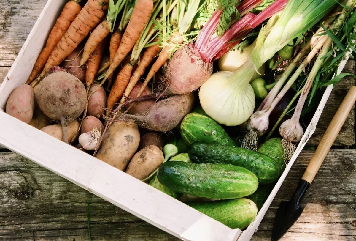 Фото для иллюстрации взято из открытого источника