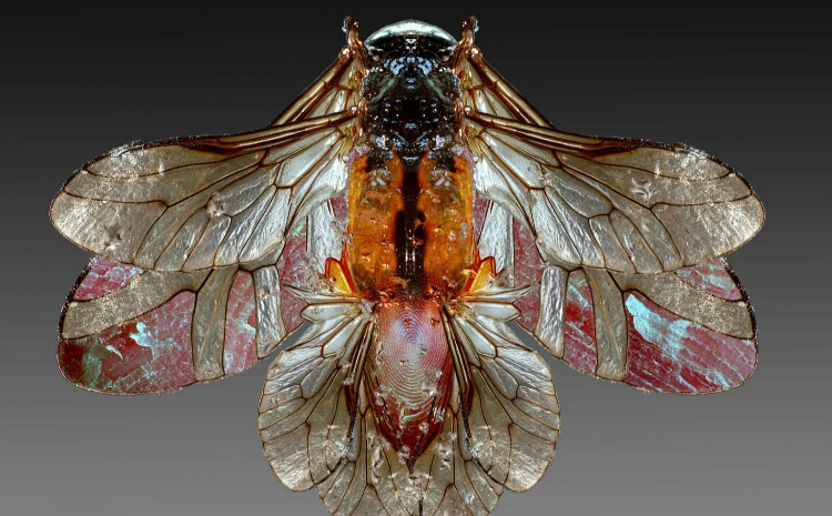 Фото: галерея «Ходынка»