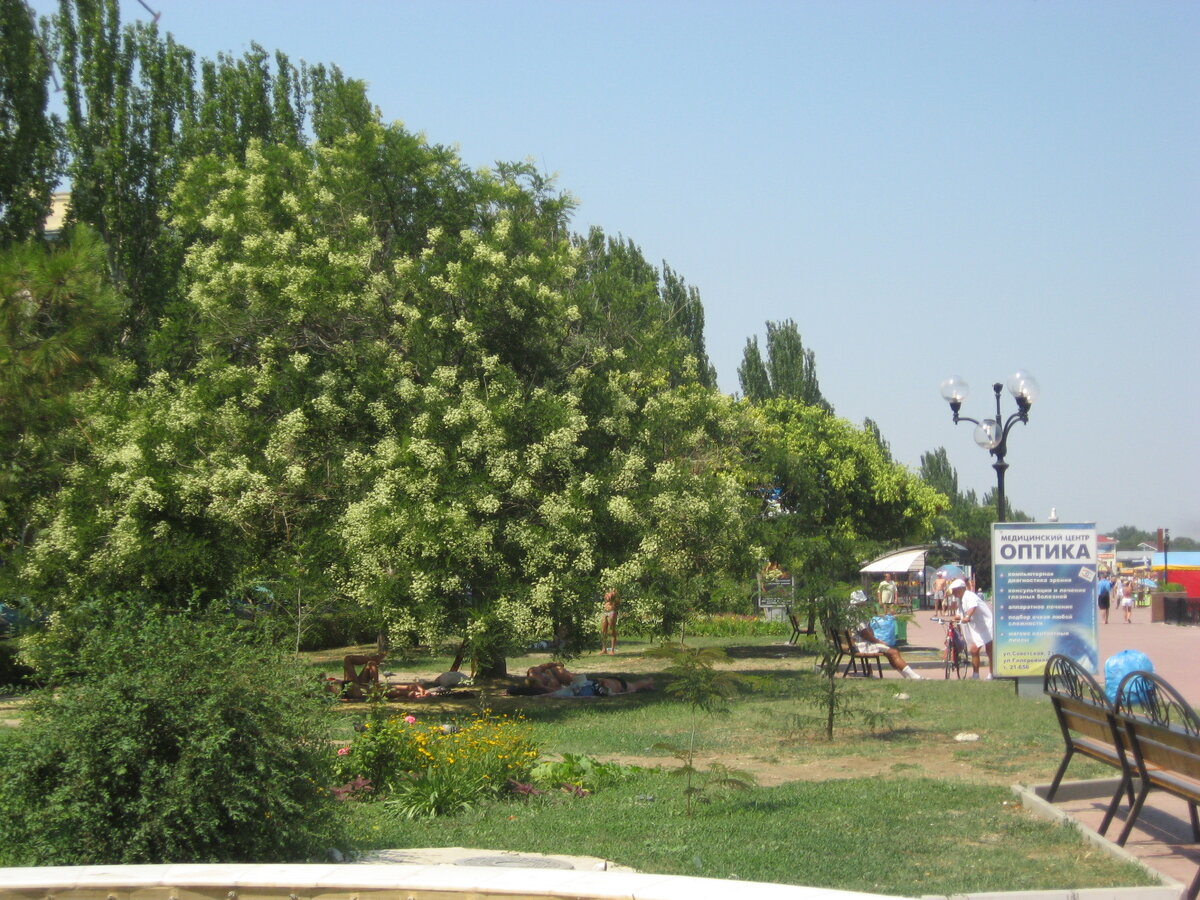 Местный пляж прямо рядом с морем как и гостиница в которой я останавливался.