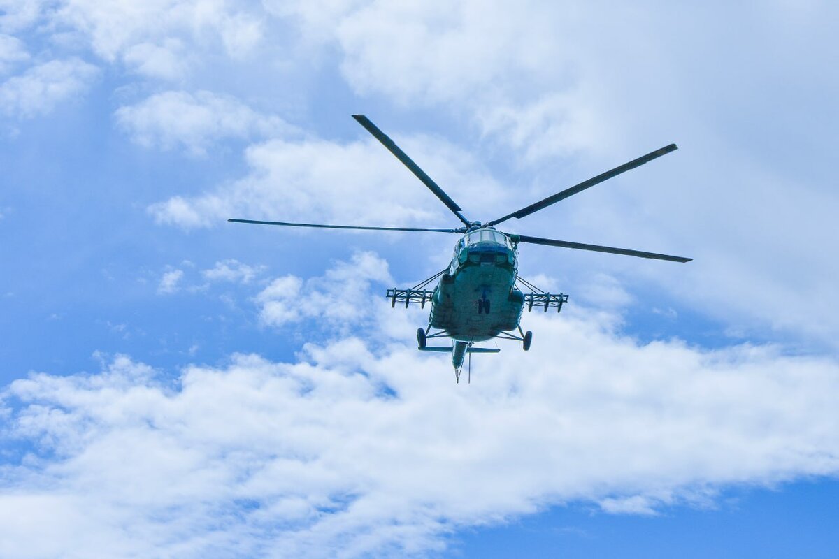 Фото: Гала Амарандо