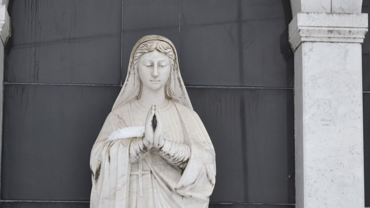     Сроки завершения строительства назовут после прохождения госэкспертизы.