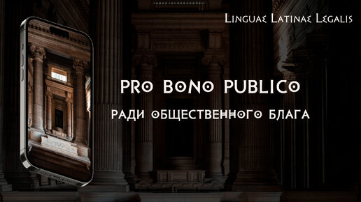 Pro bono publico - Ради общественного блага