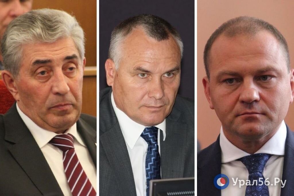    Изменения в закон о животных после гибели ребенка: Салмин требует радикальных решений, Козупица - обезопасить людей, а депутаты Заксоба готовят инициативы