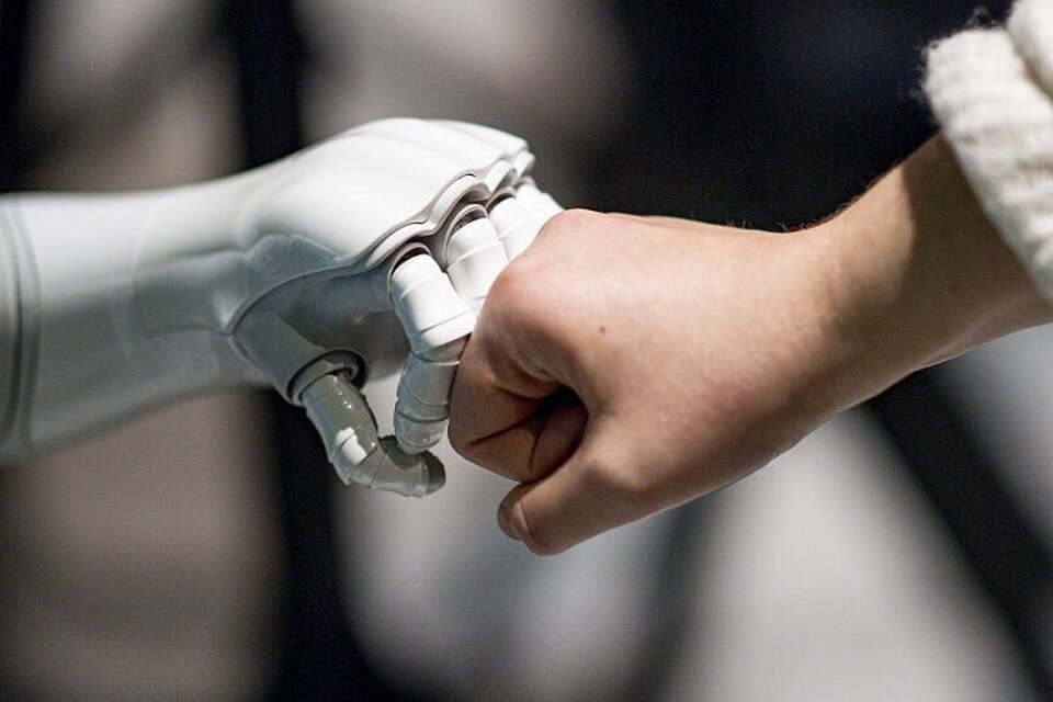     Эксперты призвали не обучать нейросети, так как это несет угрозу человечеству. Фото: pixabay.com