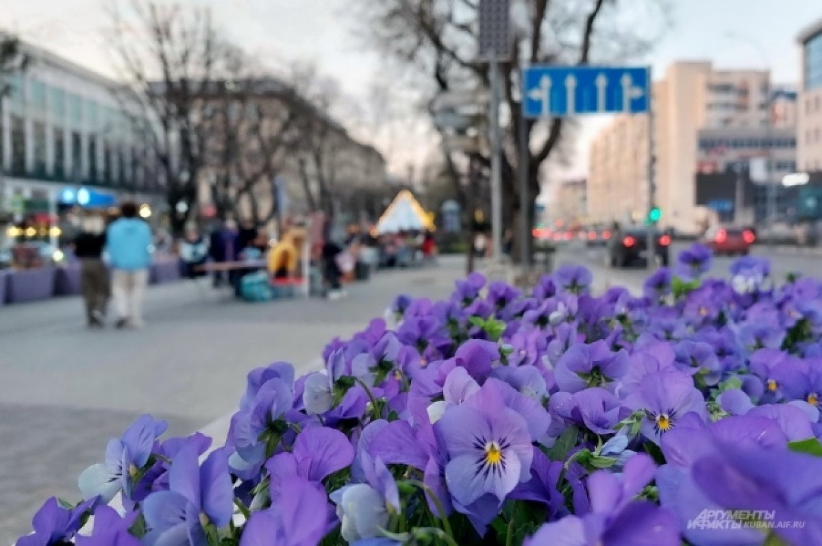    В Самаре в начале апреля воздух прогреется до +20 °C