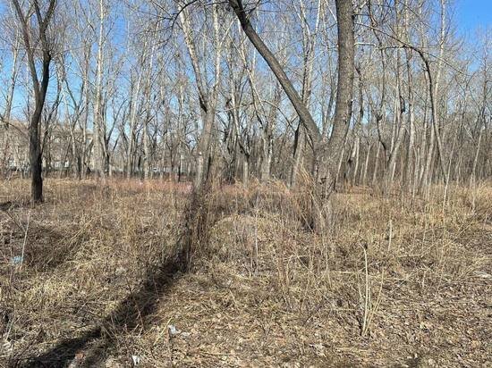     Фото: пресс-служба администрации Челябинска