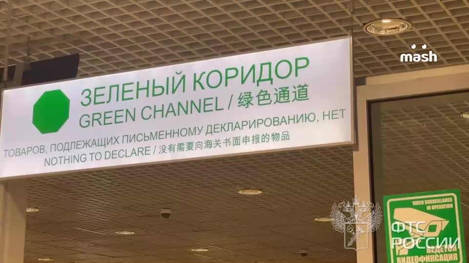    Экзотические животные, найденные в багаже у пассажира Видео: Telegram-канал Mash