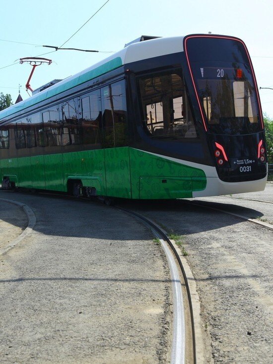     Фото: Юлия Боровикова