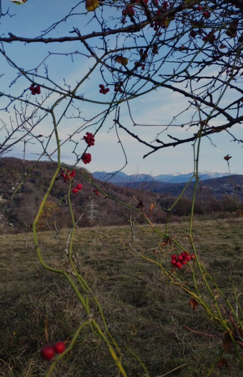 Вид с горы на горы