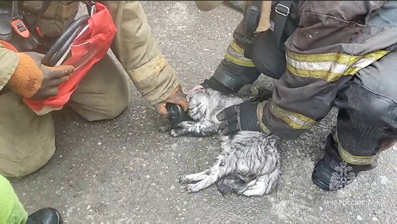 -2