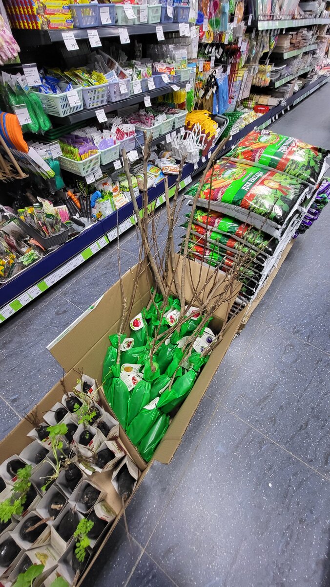 Галерея, листайте