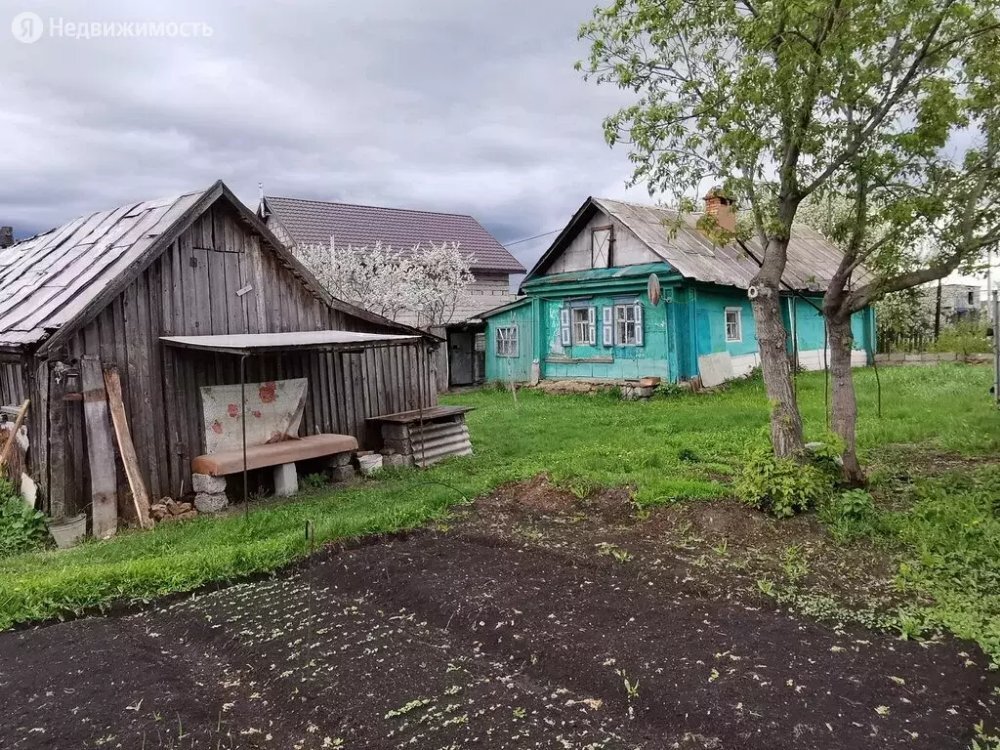    Фото Яндекс картинки Niekrashas