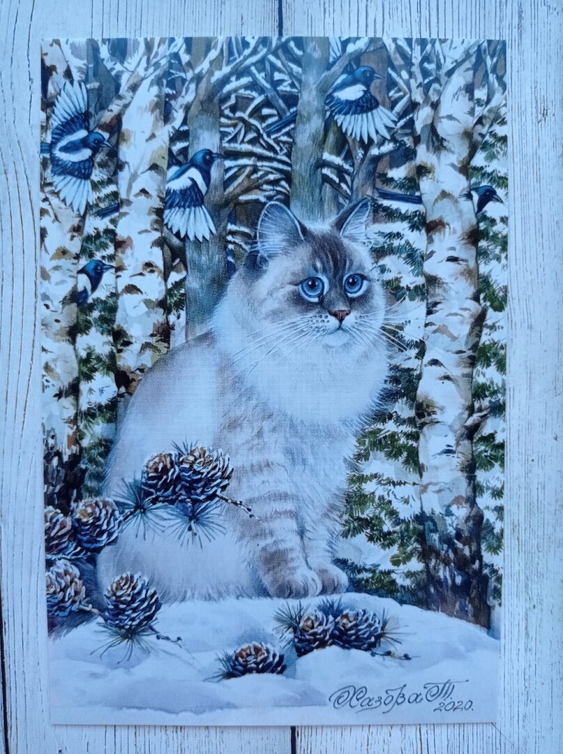 �������� �� ��������� "����" �������� ������� ������ (https://vk.com/hazova_tanya)