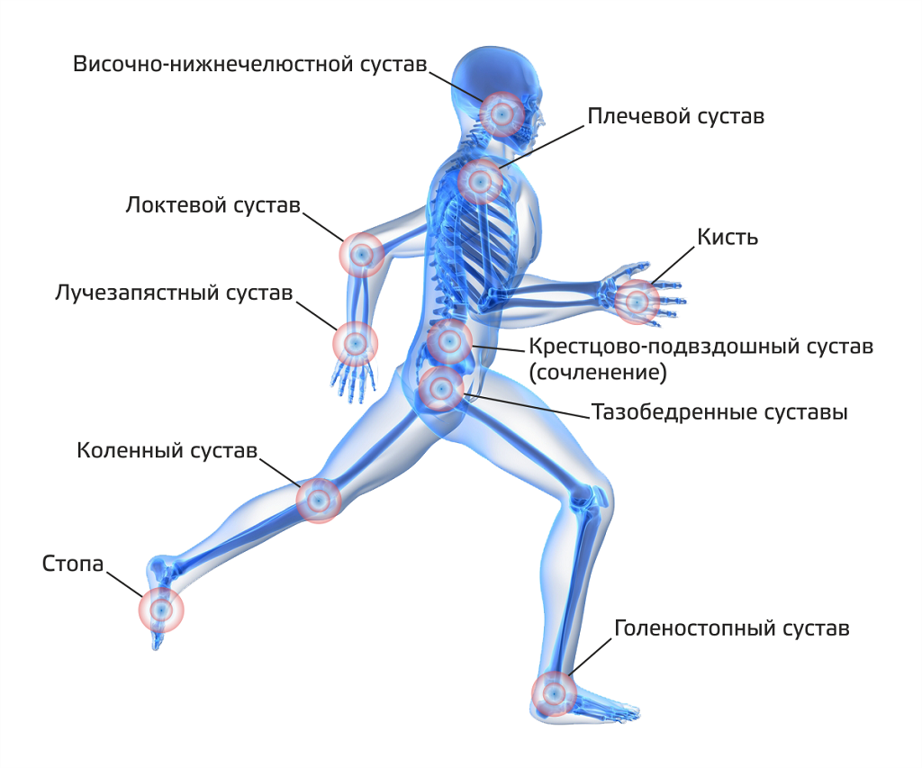 Полезные продукты для суставов и хрящей