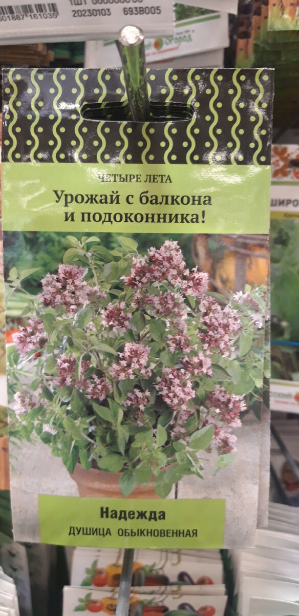 Фото Николая Страхова