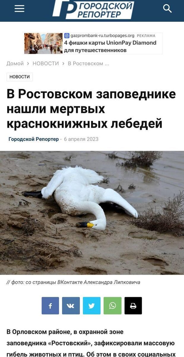 Эти фото кочуют по стране с сайта на сайт. Фото: скриншот/предоставлено министерством экологии Челябинской области.