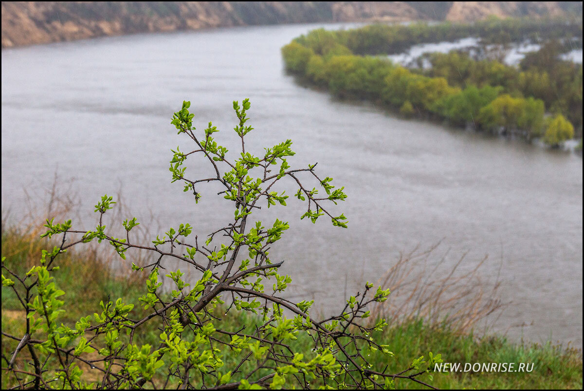 На Крутояре в дождь