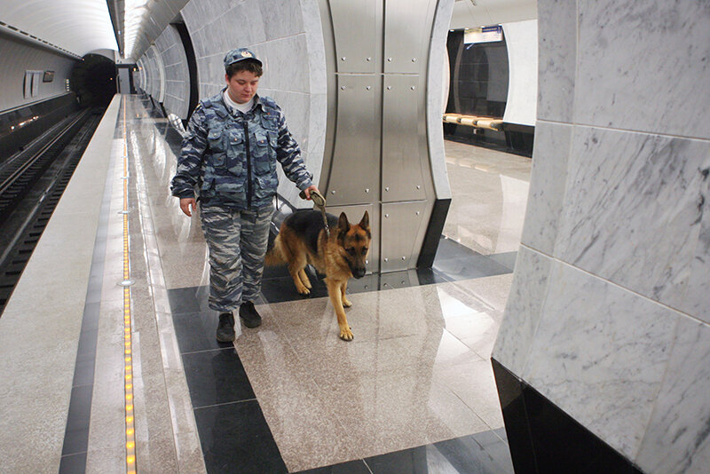    © Руслан Кривобок/РИА Новости