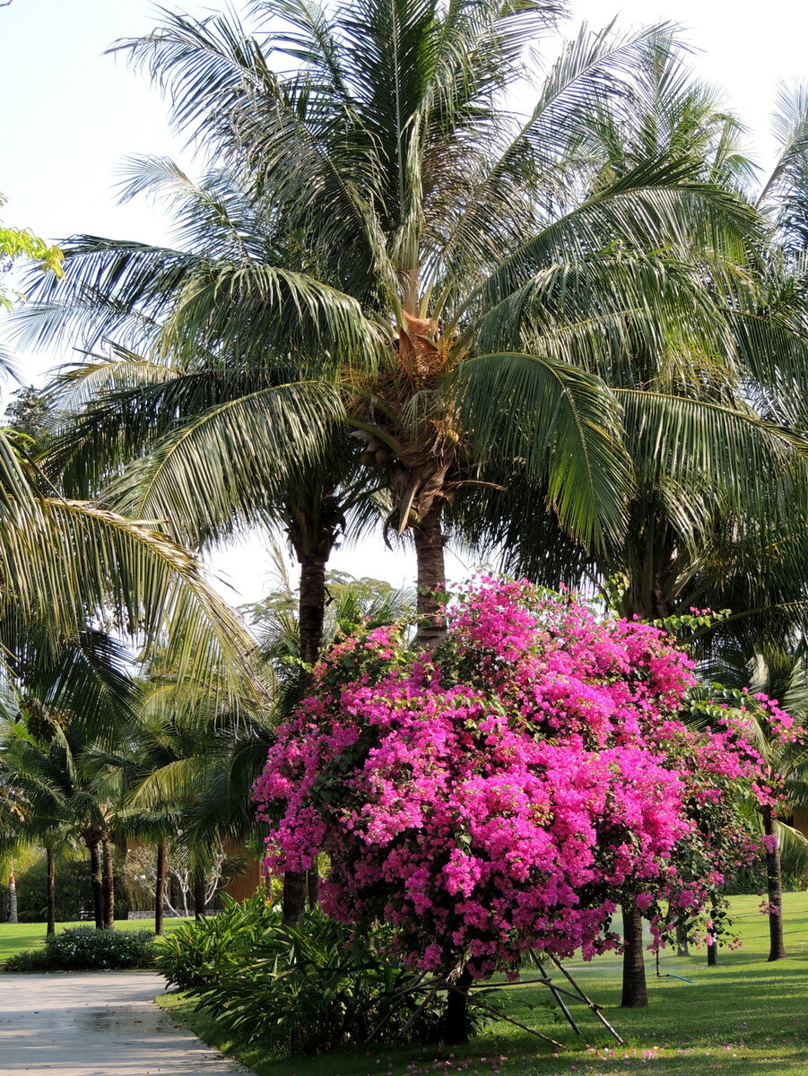 Парк на Фукуоке