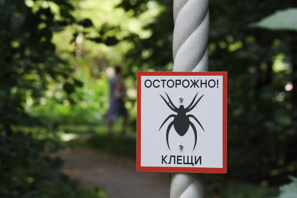 Фото: ТАСС / Владимир Гердо