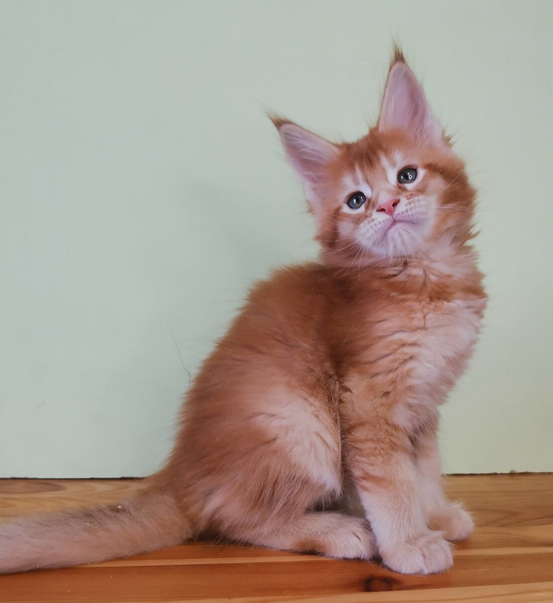 Я прививок не боюсь! Если надо - уколюсь!