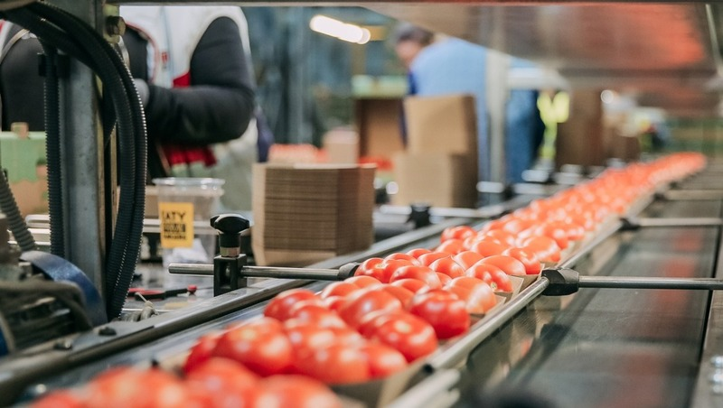 Фото: Минсельхоз Ставропольского края