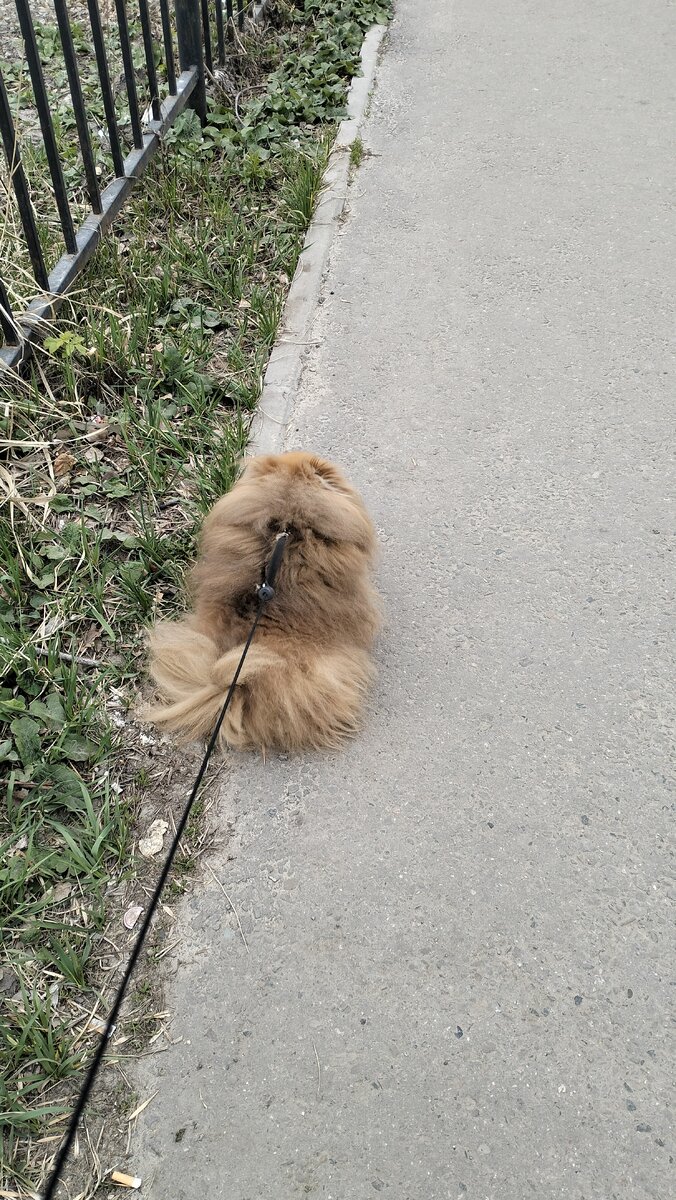 Отвернулась от меня и сказала, что больше никуда не пойдёт