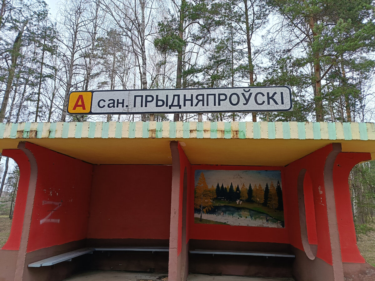 Фото автора статьи. 