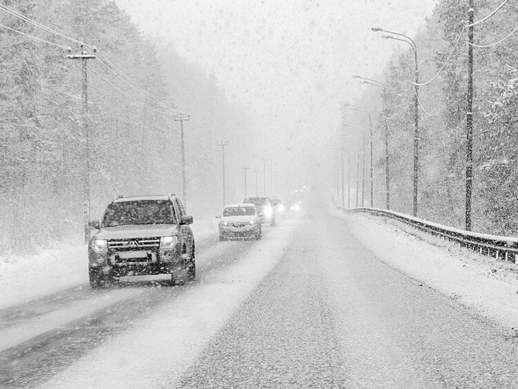 Фото из открытых источников.