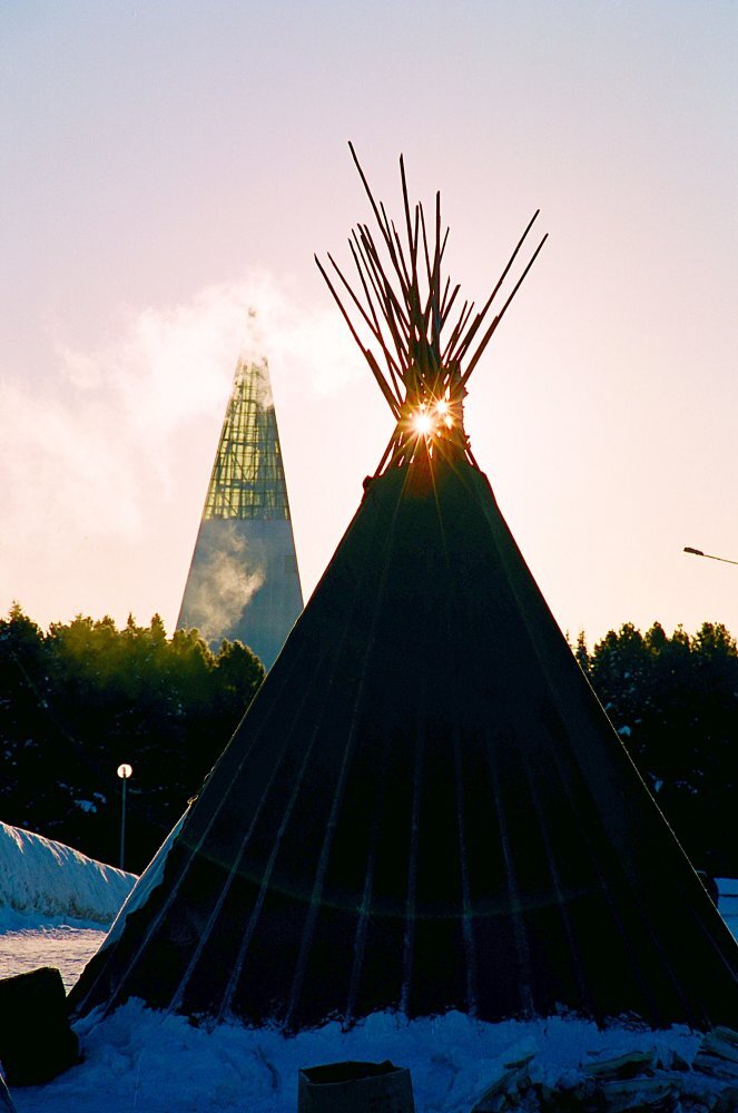    В Ханты-Мансийске заметили медведя