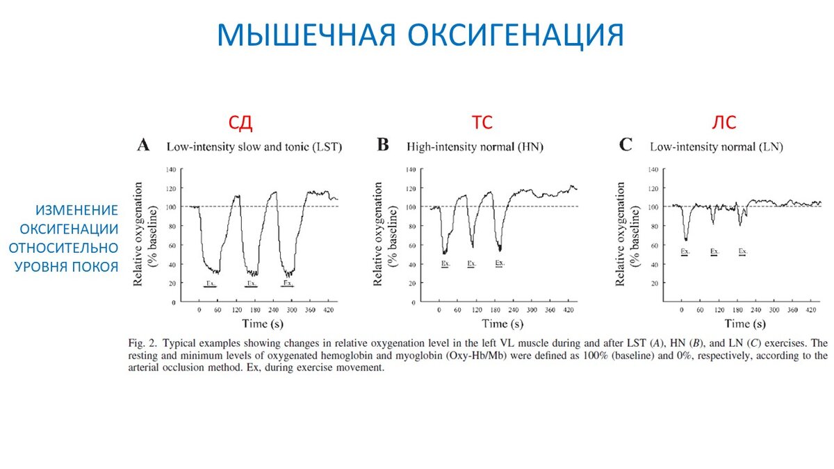 Статодинамика - исследование срочных и хронических эффектов | Василий  Волков | Дзен