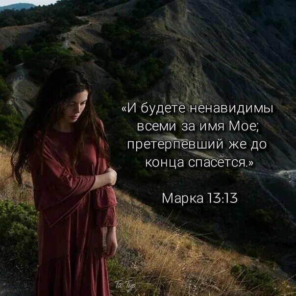 Из открытых источников Яндекса.
