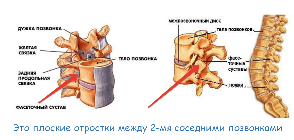 Хруст при ходьбе