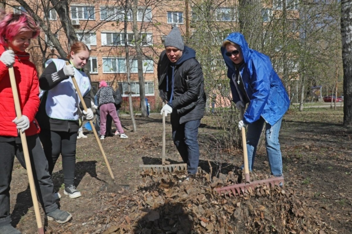 В Самаре в месячнике чистоты поучаствовали более 178 тысяч человек | АиФ- Самара | Дзен