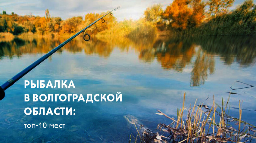 Волгоградская область — один из самых рыбных регионов России. Здесь ловят почти круглый год, но самый сезон — это апрель и летние месяцы.